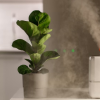 Все категории